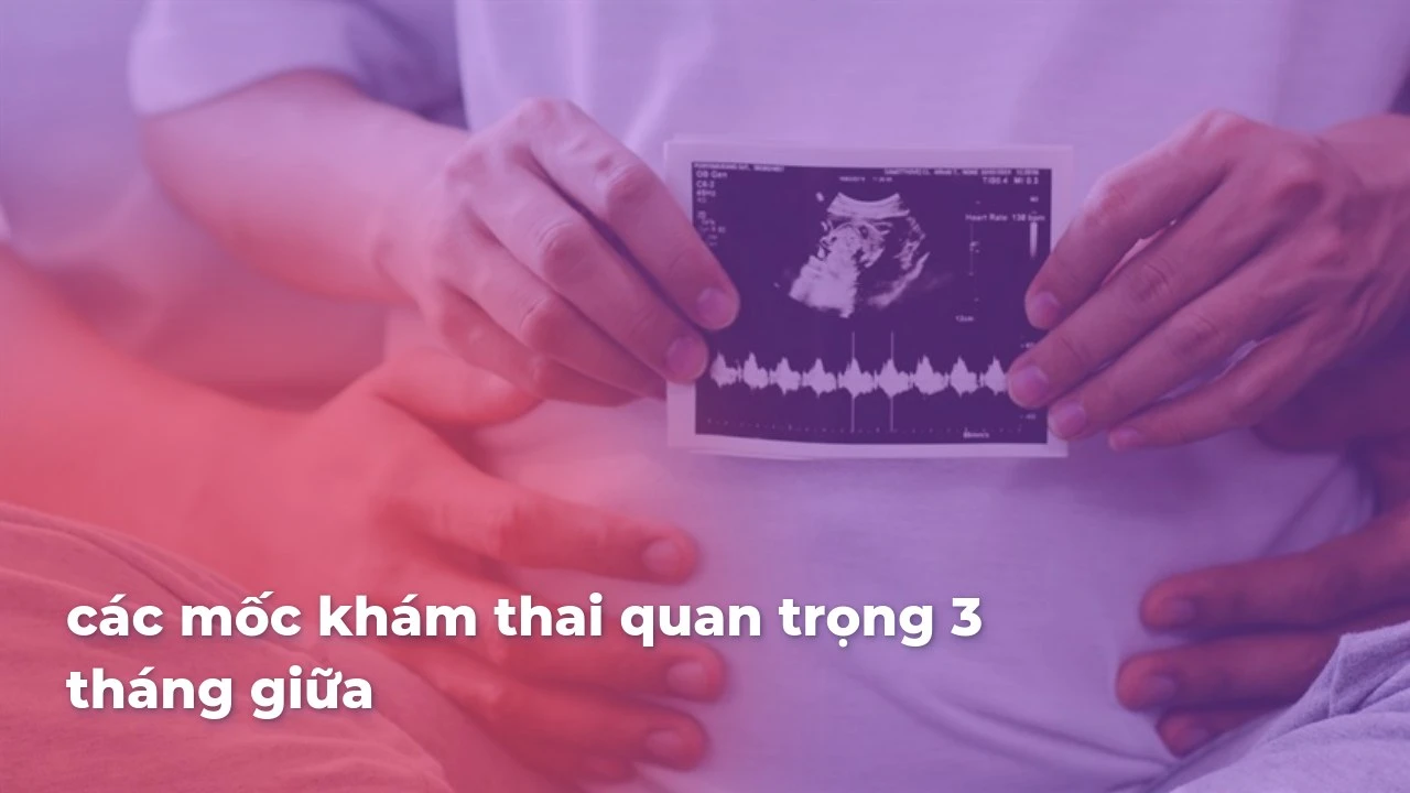 phongkhammaithanh com DF5rj5rBwSDuMVN