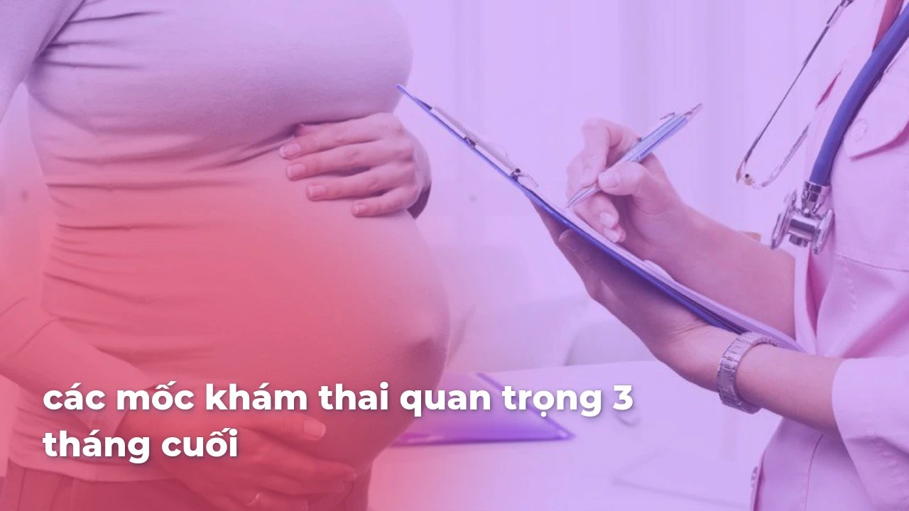 phongkhammaithanh com LlwnNhWZBvr5zob