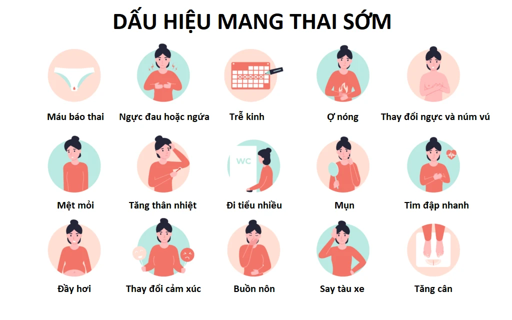 24 dấu hiệu mang thai tuần đầu sớm nhất khi chưa đến kỳ kinh