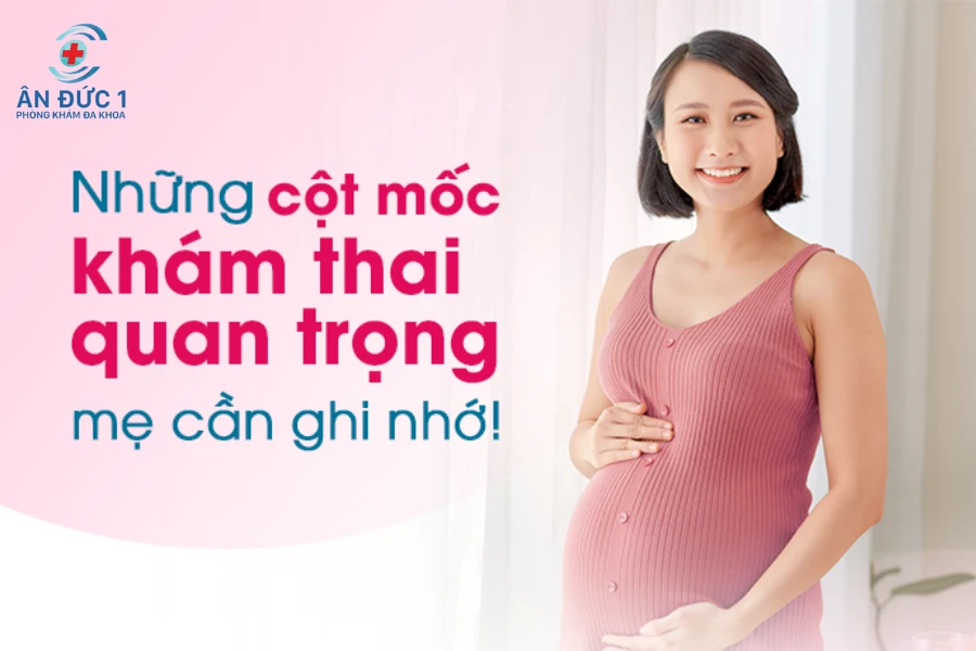 Lịch khám thai định kỳ cho từng tam cá nguyệt?