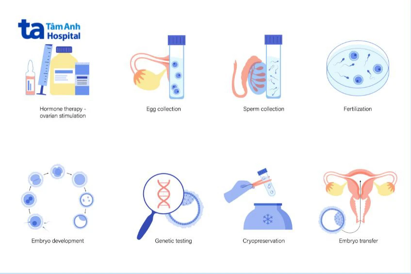 các phương pháp điều trị sinh sản hiện có cách lựa chọn phù hợp