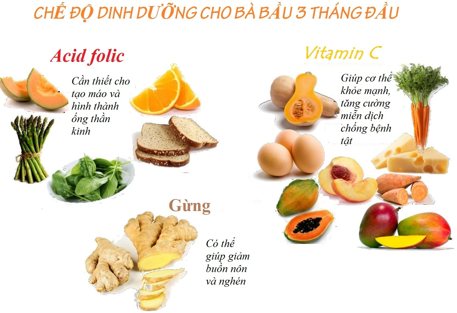 Chế độ dinh dưỡng trong tam cá nguyệt thứ nhất cho mẹ bầu theo từng