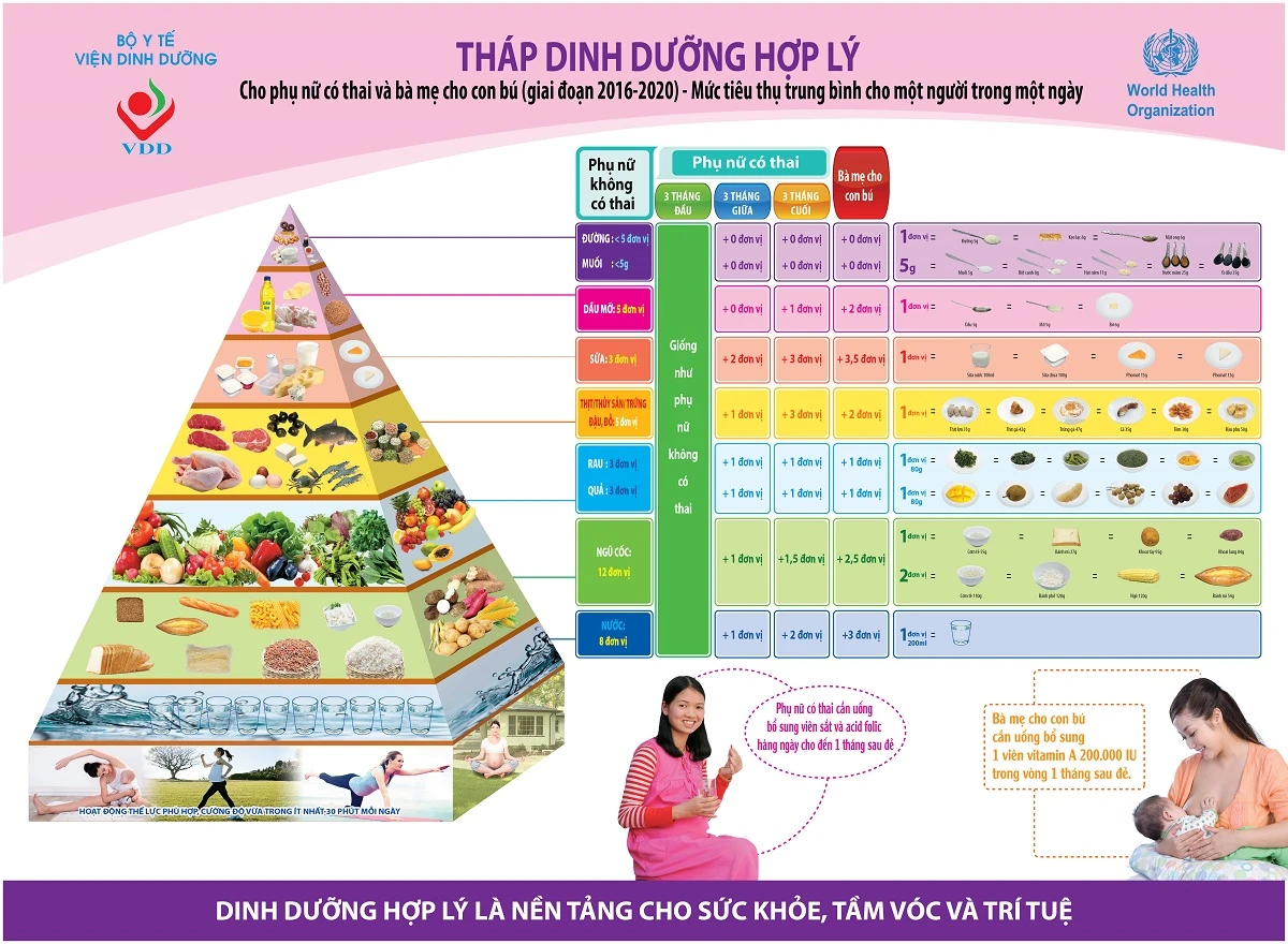 Thực đơn đa dạng cho tháng thứ tư đến tháng sáu chế độ dinh dưỡng mẹ bầu theo từng tam cá nguyệt