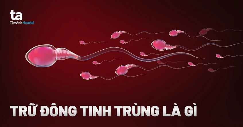 Lợi ích của trữ lạnh noãn trong điều trị vô sinh phân tích hiếm muộn