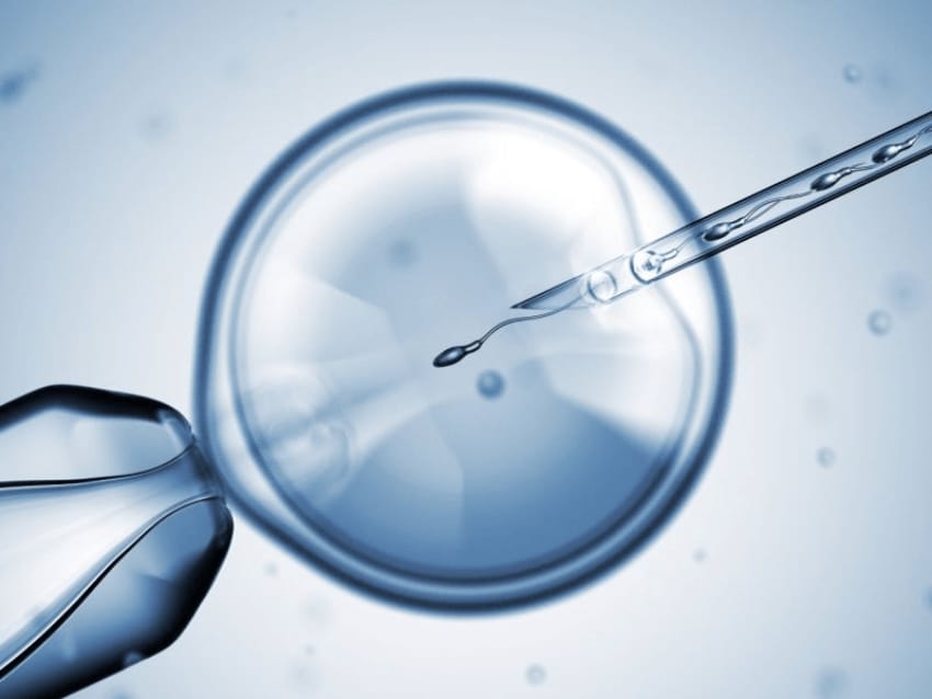 đặc điểm kỹ thuật icsi và ivf phương pháp điều trị hiếm muộn