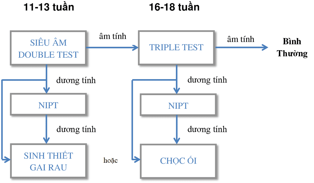 Phương pháp thực hiện xét nghiệm Double test