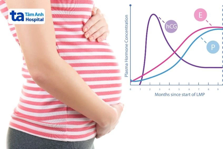 Triệu chứng buồn nôn và nôn mửa dữ dội các bất thường trong thai kỳ cần đặc biệt chú ý