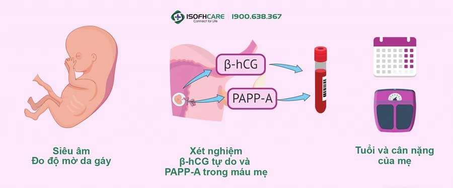 Thời điểm thực hiện xét nghiệm Double test