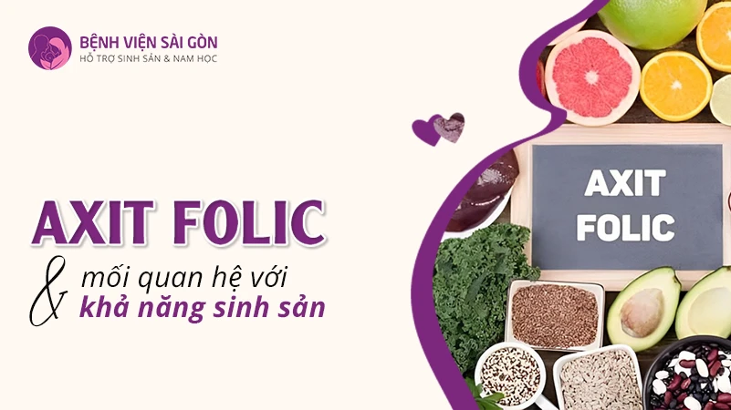 Các nguồn cung cấp vitamin B9 và axit folic