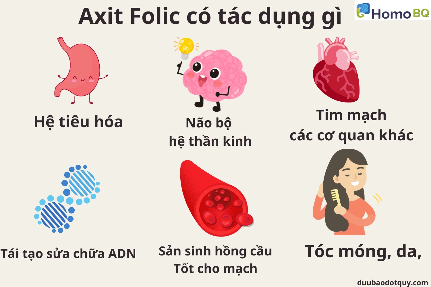 Vai trò của axit folic trong thời gian mang thai